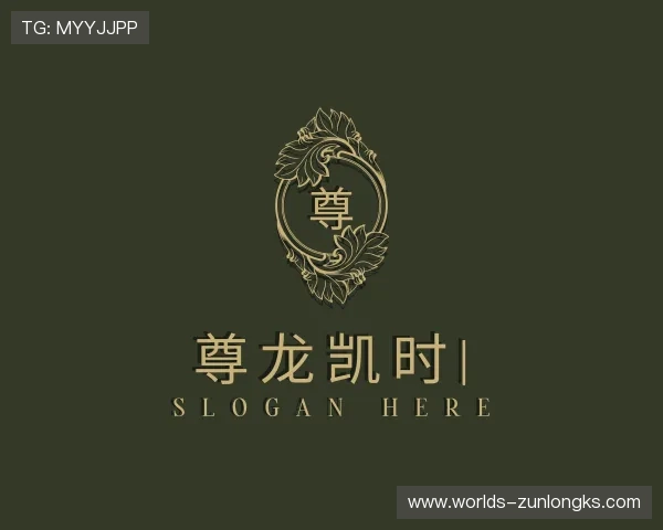介绍尊龙凯时
